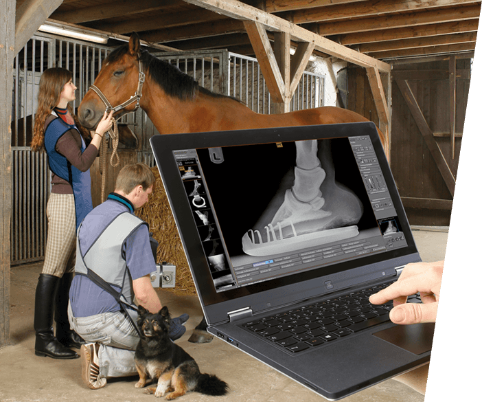 dicomPACS vet - Kaufuntersuchungs-Software für Pferde