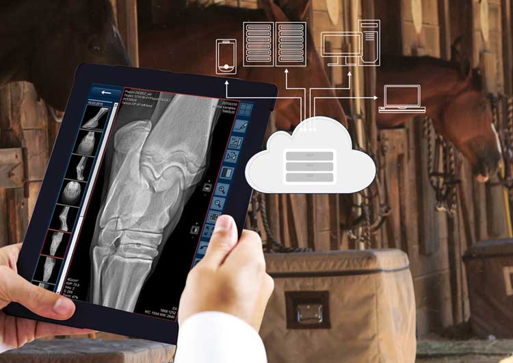 ORCA DICOM-Cloud - Plattform für tiermedizinische Bilder und Dokumente