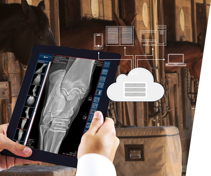 ORCA DICOM-Cloud - Plattform für tiermedizinische Bilder und Dokumente