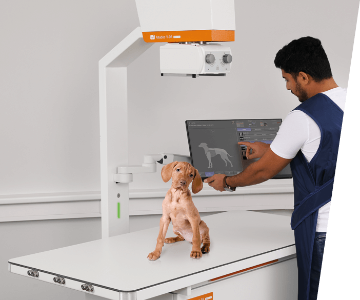 Amadeo V mini II - digital X ray machine for veterinary