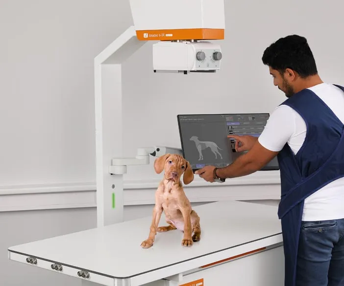 Sistema de rayos X que ahorra espacio para la medicina de pequeños animales, desde el perro hasta el ratón
