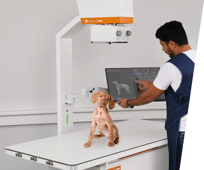 Amadeo V mini II - Sistema digital de rayos X completo para veterinarios a domicilio