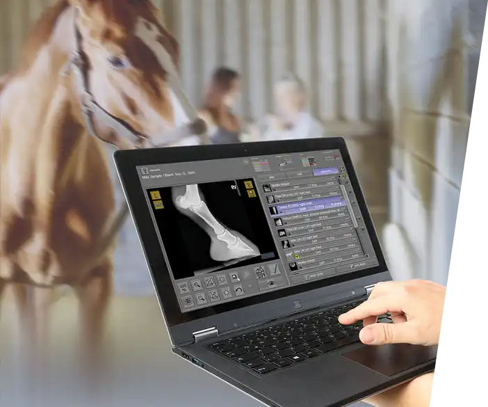 dicomPACS DXR as OEM for X-ray software specialised for veterinarians