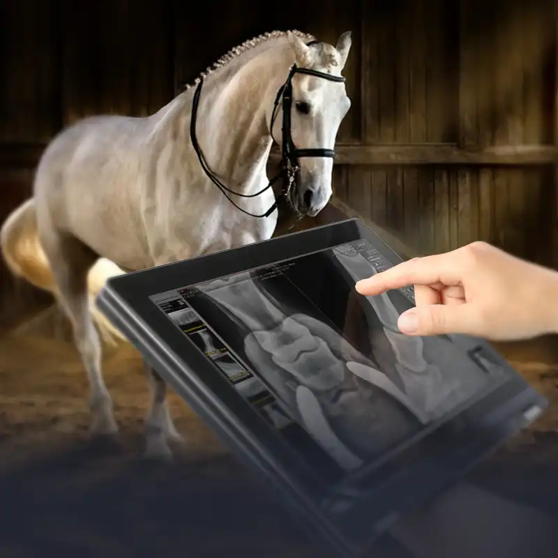 Portable X-ray equipment for equine doctors and veterinarians