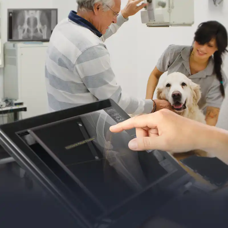 Digital X-ray machine for veterinarians and veterinary practices