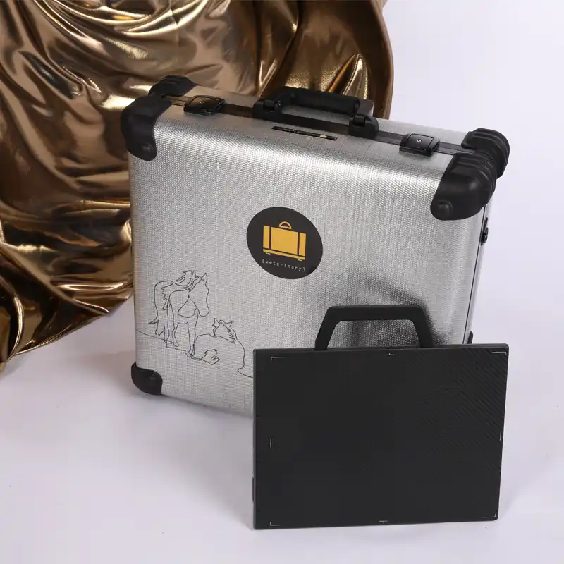 Das neue Leonardo DR mini III - Röntgenkoffersystem von Oehm und Rehbein