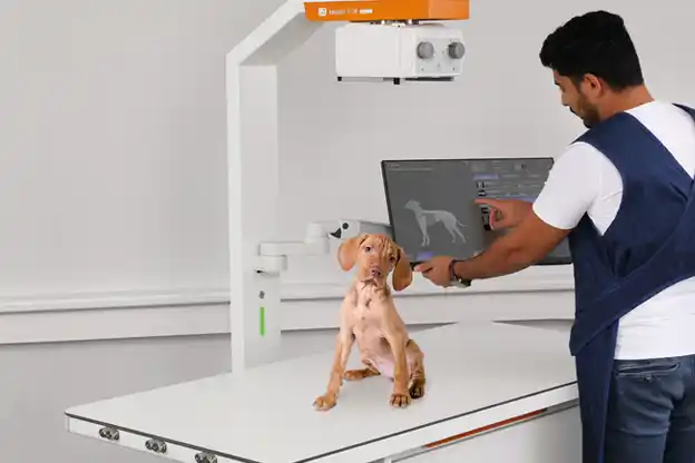 Tierarzt Fortbildung - Pferderücken perfekt geröntgt.
