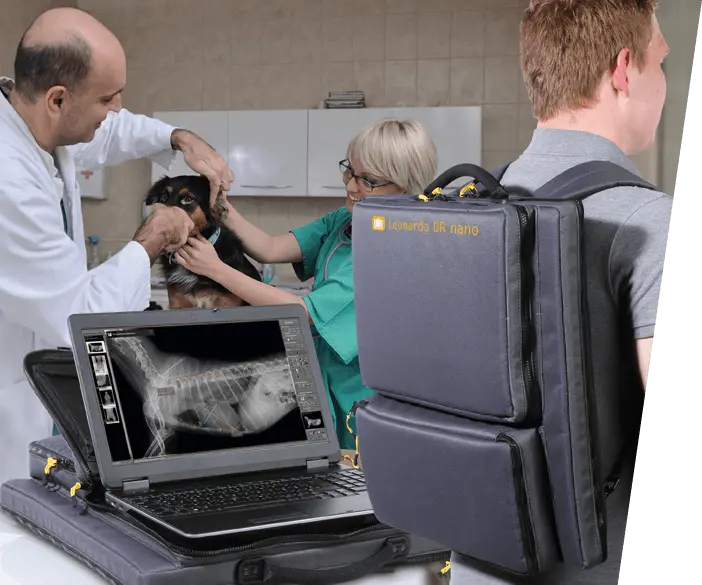 Unidad móvil de rayos X DR para uso en exteriores y pequeñas consultas veterinarias