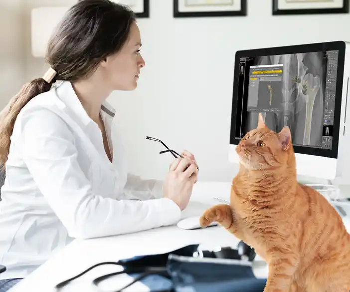 dicomPACS®vet  Digitales Bildmanagement für Röntgenbilder und Dokumente speziell für Veterinäre