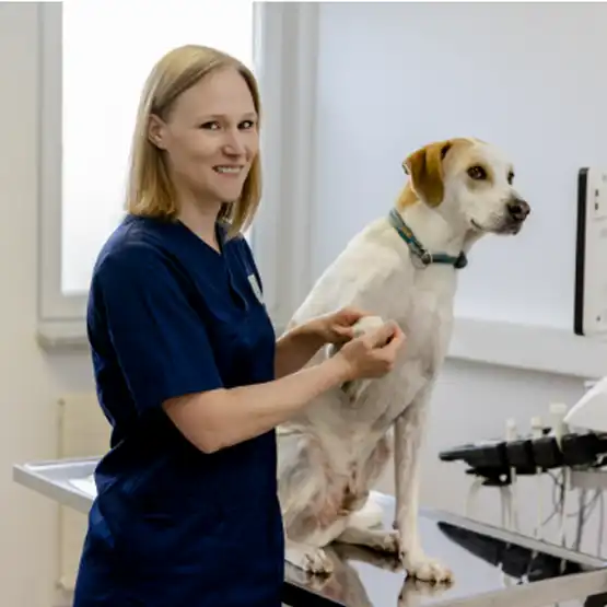 Referent Dr. med.vet. Sarah Balmer
