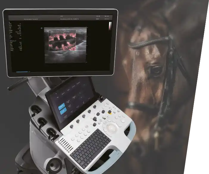 ORsono professional V70 Ultraschallgerät für Pferdärzte und Veterinäre