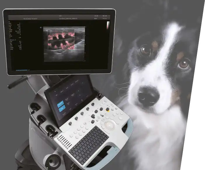 ORsono professional V70 - mobiles Ultraschall-System für Tierärzte