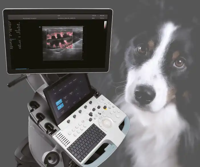 OR Sono professional V70 - Ultraschall-System für Veterinäre