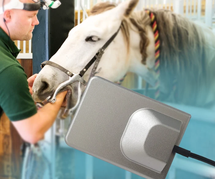Medici DR Dental System - CMOS Detektor für Pferde