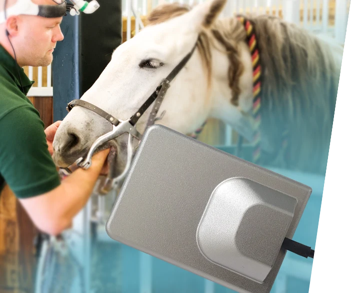 CMOS DR Dental Detektor für Pferdeärzte