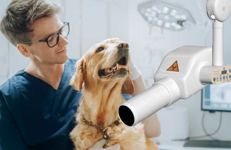 Zahnröntgensysteme Best X-DC arbeiten im Hochfrequenzbereich mit konstanter Leistungsabgabe