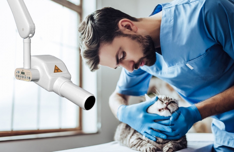 Intraorale Röntgensysteme für die Kleintiermedizin - zuverlässigen Zahnröntgensysteme X-Mind  DC