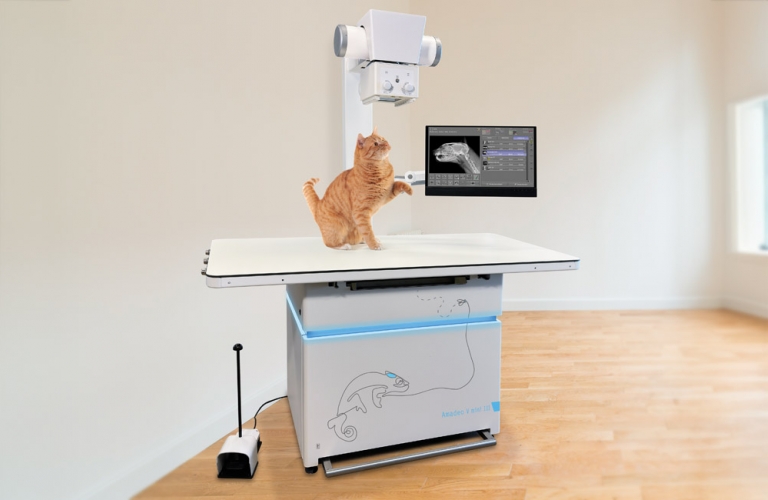 Amadeo V DR mini 3 - Katze auf dem Tisch eines Röntgensystems