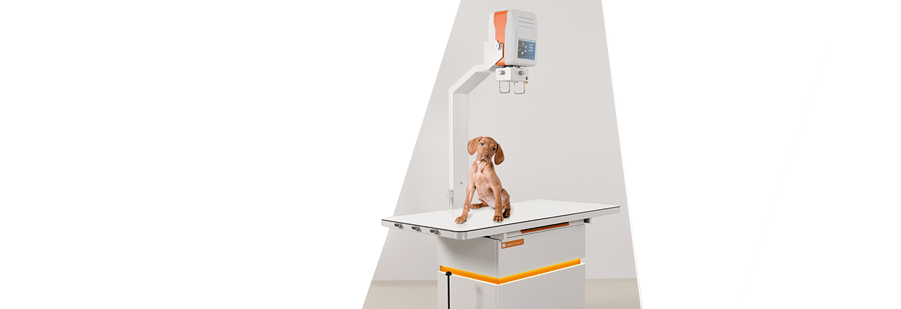 images/Produkte/Amadeo/V_nano2/Slider-X-ray-table-veterinary-Roentgen-Tisch--Amadeo-V-nano-II-1.png