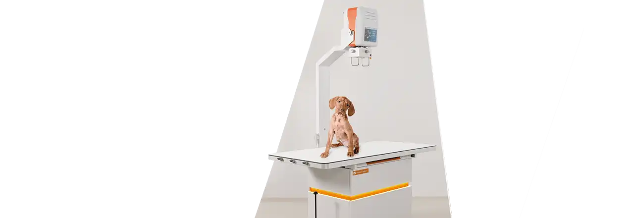 images/Produkte/Amadeo/V_nano2/Slider-X-ray-table-veterinary-Roentgen-Tisch--Amadeo-V-nano-II-1.webp