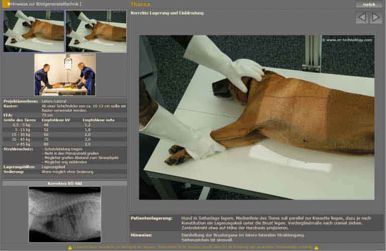 Integrierter, multimedialer Röntgenhelfer zur korrekten Einstelltechnik