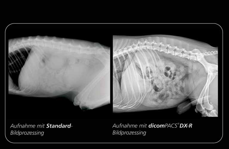 Bildvergleich: Das professionelle dicomPACS DX-R  Bildprozessing