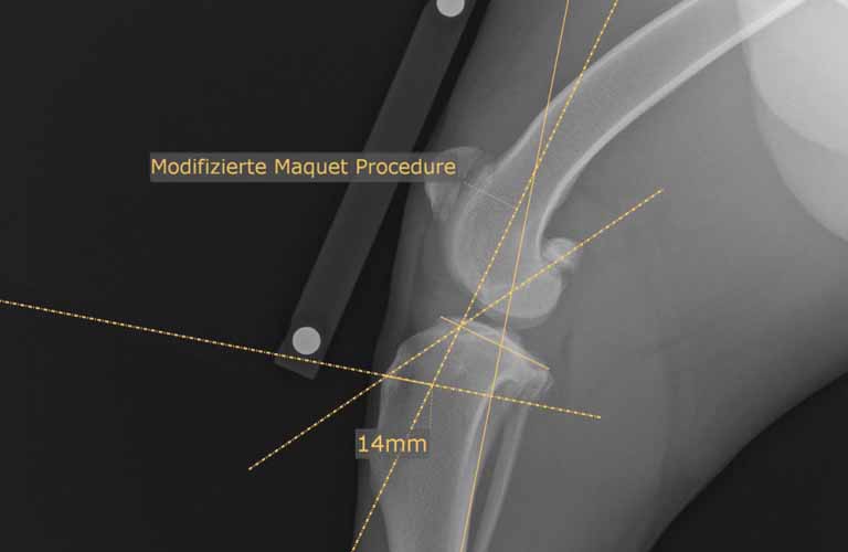 Vermessungshilfe Modifizierte Maquet Procedure (MMP) MMP (Modifizierte Maquet Procedure) ist eine Messung, bei der die Abstandsgröße (Keilgröße) für das Einsetzen des MMP-Keiles bei Kreuzbanderkrankungen von Hunden ermittelt wird.