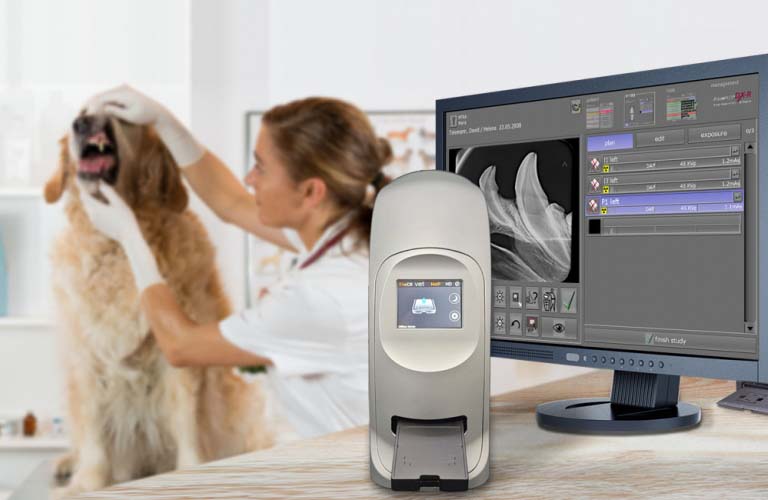 Divario CR-F Dental Premium schnell und kostengünstig