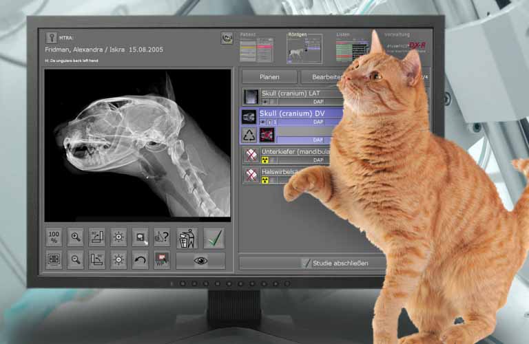 dicomPACS-DX-R-Akquisitions-Befundsoftware-Roentgenbilder-vet-DE-1