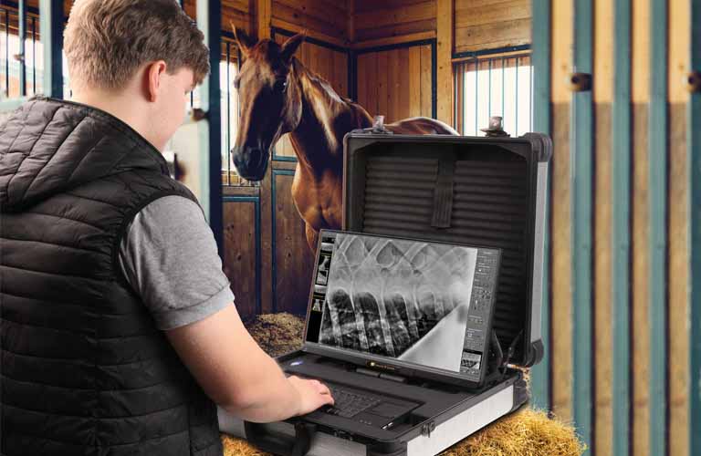 Leonardo DR mini: Portable digital radiology system in a custom-made suitcase for mobile use in stables and clinics