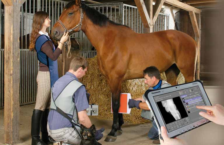 Leonardo DR mini: Portable digital radiology system in a custom-made suitcase for mobile use in stables and clinics