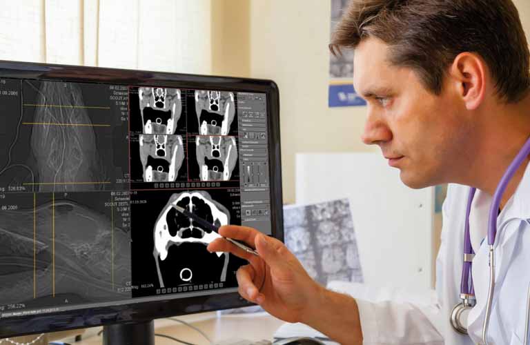 X-ray images and documents can be shared via cloud to obtain a second opinion.