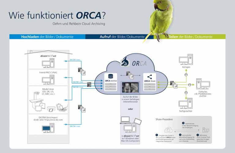 Cloud-Funktionsweise: Röntgenbilder und Dokumente hochladen, aufrufen und teilen