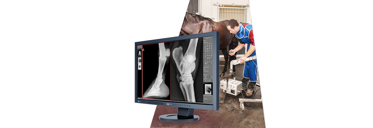 images/Produkte/Pacs/Basis/vet/Slider-dicomPACS-Basis-vet-1b.png