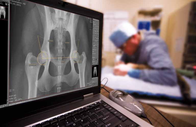 Digital X-ray for vets