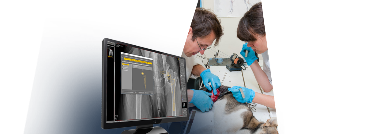 images/Produkte/Pacs/Prothesenmodul/vet/Slider-dicomPACS-Prothese-vet-1.png