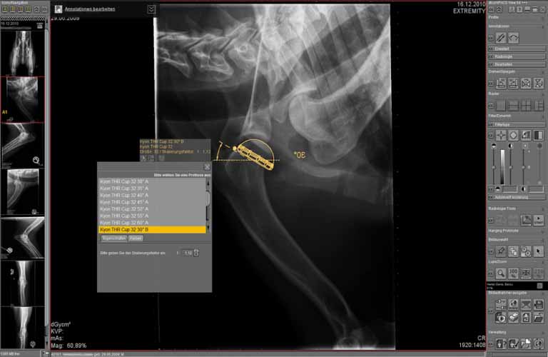  With the dicomPACS®vet prosthesis documentation module, surgery planning or documentation can be carried out