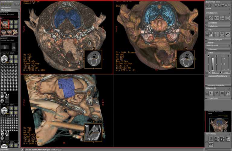 Administration-and-diagnostic-evaluation-of-image-slices-5DE