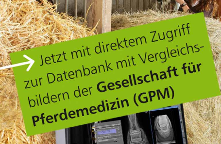 Software zur Röntgen-Berichtserstellung bei Pferde-KaufuntersuchungenJetzt mit direktem Zugriff zur Datenbank mit Vergleichsbildern der Gesellschaft für Pferdemedizin (GPM)