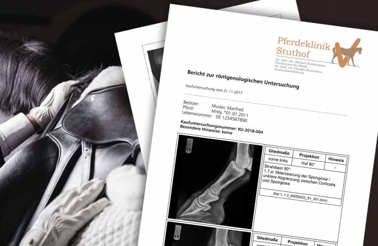 Kaufuntersuchungs-Software für den neuen Röntgenleitfaden - lückenlose Dokumentation