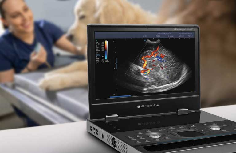 Ultraschallsystem für den Einsatz in der Kleintiermedizin