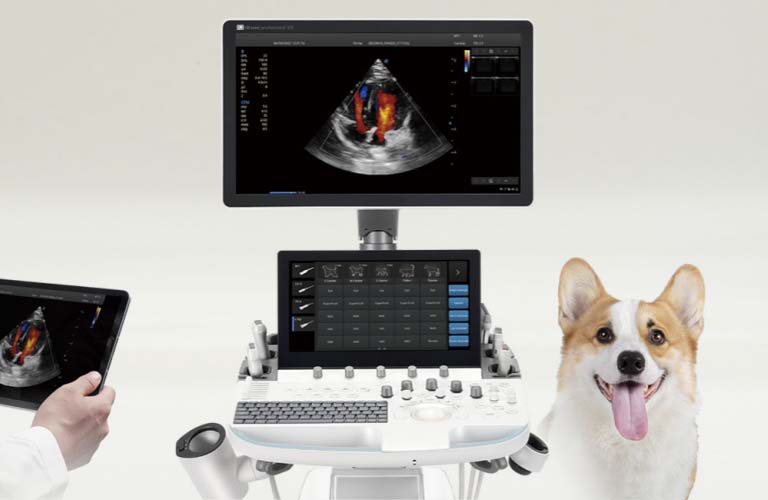 OR sono professional V70 Ultraschallsystem