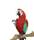 blue wing red macaw