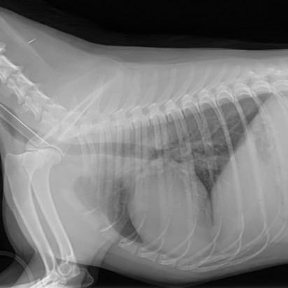 GLI (gridless imaging) emulierten Rastereigenschaften mit flexiblen, anpassbaren virtuellem Raster