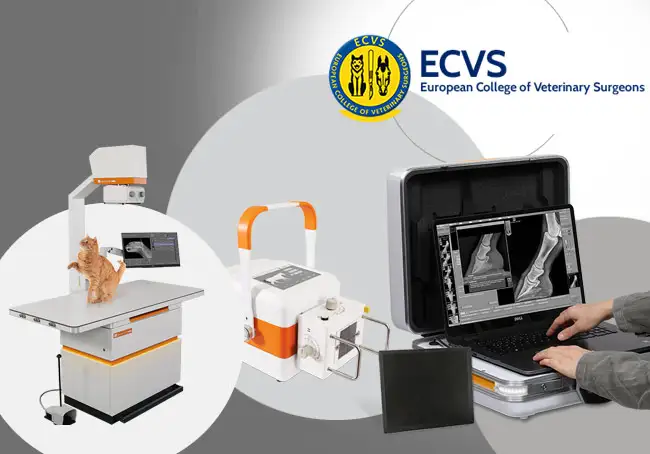 OR Technology - digital X-ray system at the ECVS